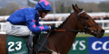 Cue Card Backed At Festival