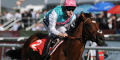 Frankel 1/12 For Champion Stakes