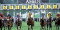 Royal Ascot Best Betting Odds
