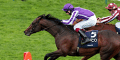 Camelot backed for Arc success