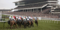 Mourad 16′s For World Hurdle