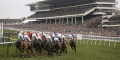 Khyber Popular For Champion Hurdle