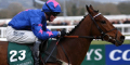 Cue Card Is Supreme Fav