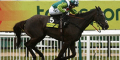 Denman 5/1 Hennessy Fav