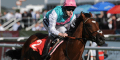 Frankel Rewards Punters