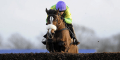 Kauto Stablemate Gets Support