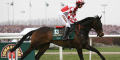 Nozic To Run For Racing Welfare