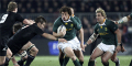 10/11 For Huge Springbok Win