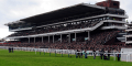 Best Racing Odds: Cheltenham