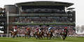 Grand National Pinstickers