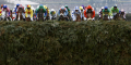 <a href="http://www.betrescue.com/grandnational/grand-national-runners-2013/">2013 Grand National Runners</a>