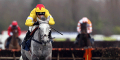 Supreme Novices Hurdle Betting