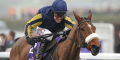 RSA Chase Betting Odds