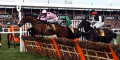 Zarkander 6/1 for festival win
