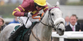 Chicago Grey Heads Scots National