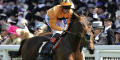 Bookie Can’t Split Goldie & Cliffs