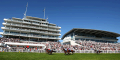 Epsom Derby Pinstickers