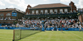 Queens Club Betting Odds