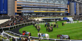 Free £20 Bet At Royal Ascot