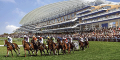 Royal Ascot Betting 2011