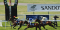 Newspaper Tips Sandown