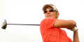 Havret 10/1 Chance In Delhi