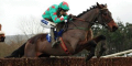 Harry The Viking 7/1 At Ayr