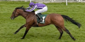 Newfangled 12/1 For 1000 Guineas