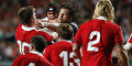 British & Irish Lions Tour Betting